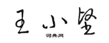 駱恆光王小堅草書個性簽名怎么寫