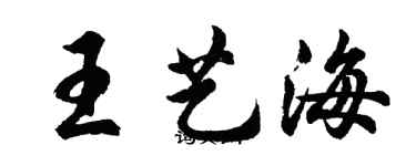 胡問遂王藝海行書個性簽名怎么寫