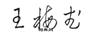 駱恆光王梅武草書個性簽名怎么寫