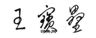 駱恆光王寶壘草書個性簽名怎么寫