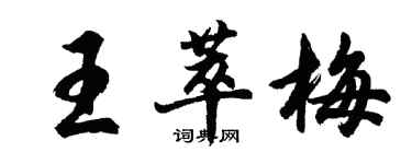 胡問遂王萃梅行書個性簽名怎么寫