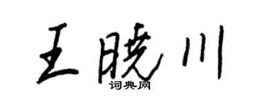 王正良王曉川行書個性簽名怎么寫