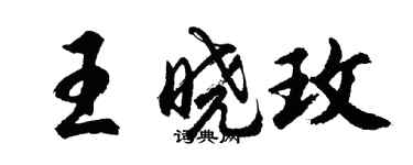 胡問遂王曉玫行書個性簽名怎么寫