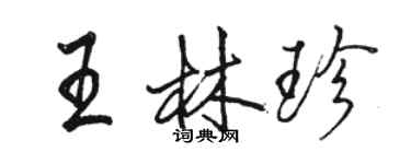 駱恆光王林珍行書個性簽名怎么寫