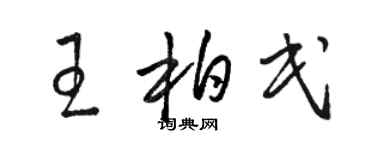 駱恆光王柏民草書個性簽名怎么寫