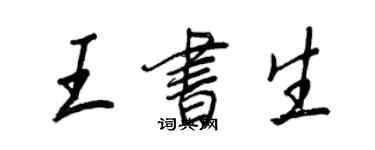 王正良王書生行書個性簽名怎么寫