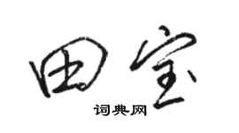 駱恆光田寶行書個性簽名怎么寫