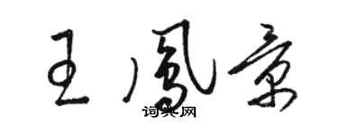 駱恆光王鳳景草書個性簽名怎么寫