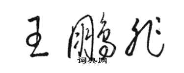 駱恆光王鵬非草書個性簽名怎么寫