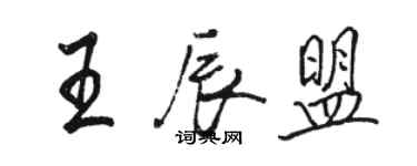 駱恆光王辰盟行書個性簽名怎么寫