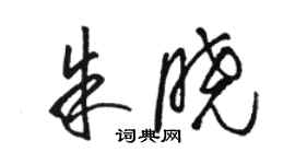 駱恆光朱曉草書個性簽名怎么寫