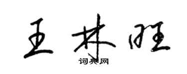 梁錦英王林旺草書個性簽名怎么寫