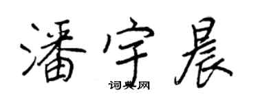 王正良潘宇晨行書個性簽名怎么寫
