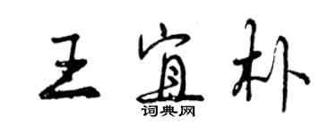 曾慶福王宜朴行書個性簽名怎么寫