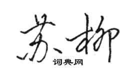 駱恆光蘇柳行書個性簽名怎么寫