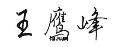 駱恆光王鷹峰行書個性簽名怎么寫