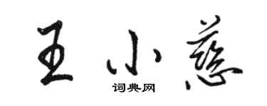 駱恆光王小慈行書個性簽名怎么寫