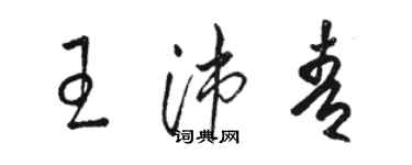 駱恆光王沛青草書個性簽名怎么寫