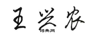 駱恆光王興農行書個性簽名怎么寫