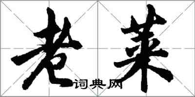 胡問遂老萊行書怎么寫