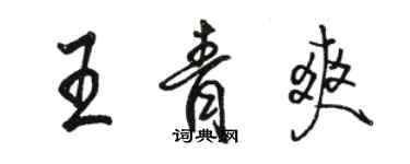 駱恆光王青爽行書個性簽名怎么寫