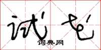 王冬齡試花草書怎么寫