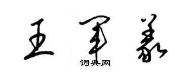 梁錦英王軍義草書個性簽名怎么寫