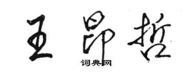 駱恆光王昂哲行書個性簽名怎么寫