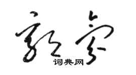 駱恆光郭氛草書個性簽名怎么寫