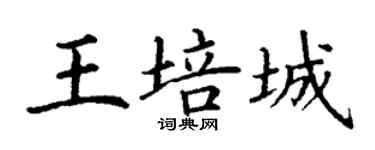 丁謙王培城楷書個性簽名怎么寫