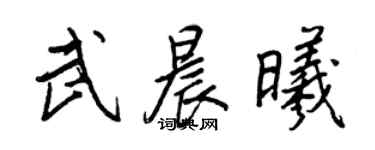王正良武晨曦行書個性簽名怎么寫