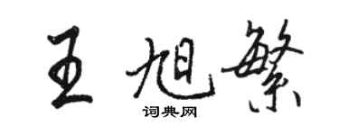 駱恆光王旭繁行書個性簽名怎么寫