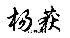 胡問遂楊獲行書個性簽名怎么寫