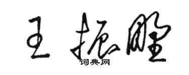 駱恆光王振野草書個性簽名怎么寫