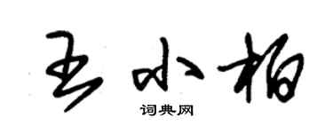 朱錫榮王小柏草書個性簽名怎么寫