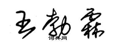 朱錫榮王勃霖草書個性簽名怎么寫