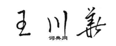 駱恆光王川華草書個性簽名怎么寫