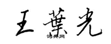 王正良王葉光行書個性簽名怎么寫