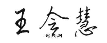 駱恆光王會慧行書個性簽名怎么寫