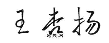 駱恆光王杏揚草書個性簽名怎么寫