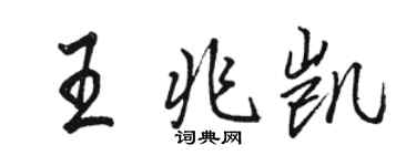 駱恆光王兆凱行書個性簽名怎么寫