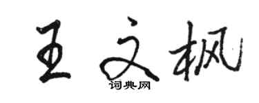 駱恆光王文楓行書個性簽名怎么寫