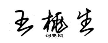 朱錫榮王桃生草書個性簽名怎么寫