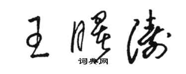 駱恆光王曙濤草書個性簽名怎么寫