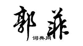 胡問遂郭菲行書個性簽名怎么寫