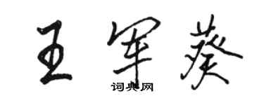 駱恆光王軍葵行書個性簽名怎么寫