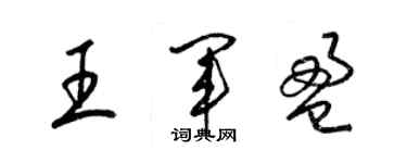 梁錦英王軍盈草書個性簽名怎么寫