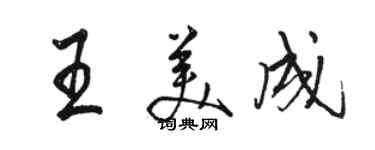 駱恆光王美成行書個性簽名怎么寫