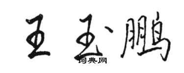 駱恆光王玉鵬行書個性簽名怎么寫