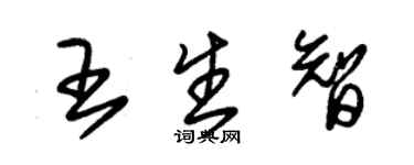 朱錫榮王生智草書個性簽名怎么寫